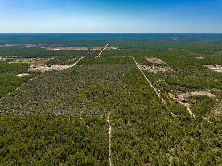Property Photo: 110+/- Acres Hwy 20 Youngstown FL 00N/A