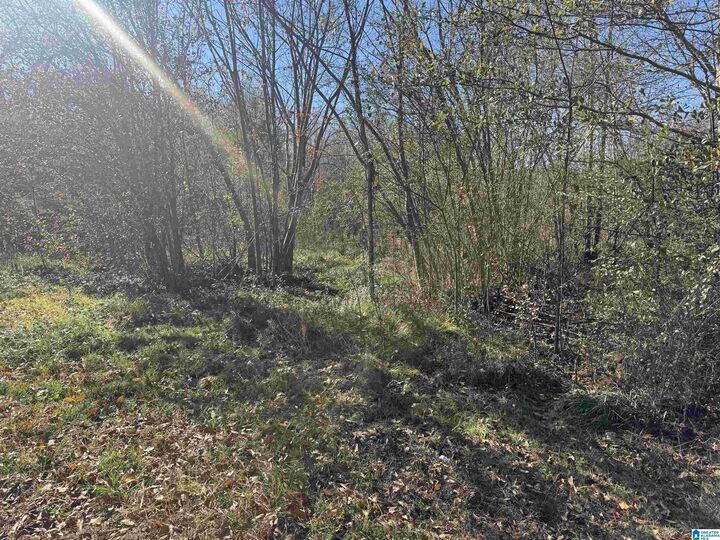 Property Photo:  0 Glade Road 1  AL 36206 