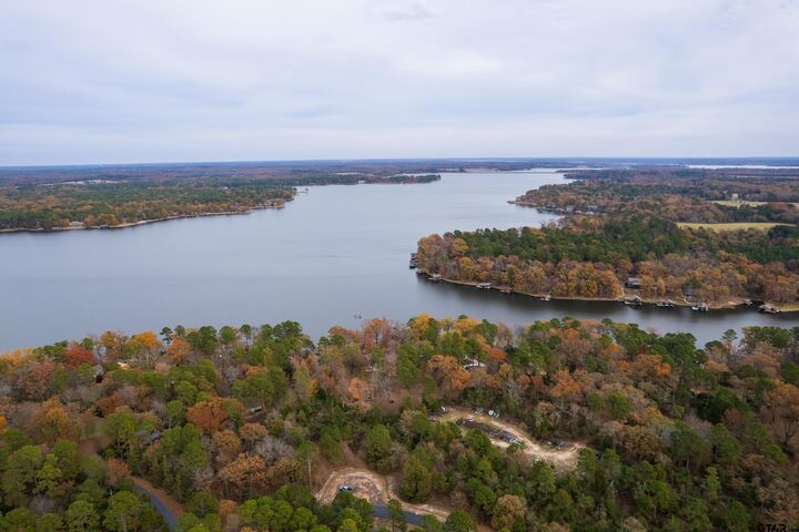 Property Photo:  Lot 450, Charlya Dr  TX 75480 