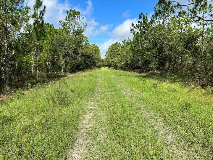 Property Photo:  Tbd SW 93rd Street  FL 34432 