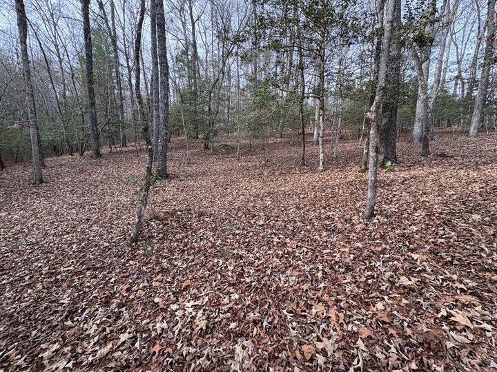 Property Photo:  0 Multiple Lots Old Johnson Rd  NC 28906 