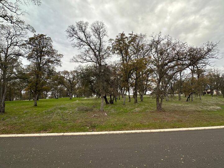 Property Photo:  722 Peabody Court  CA 95762 