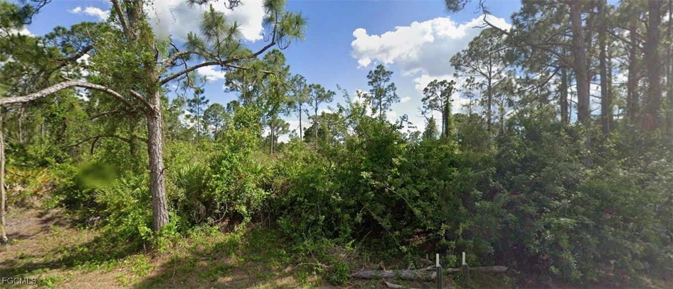 Property Photo:  1136 Dutchess Street E  FL 33974 