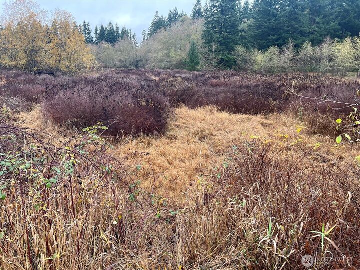 Property Photo: 0 Lot 12 Rollinghill Road WA 98236