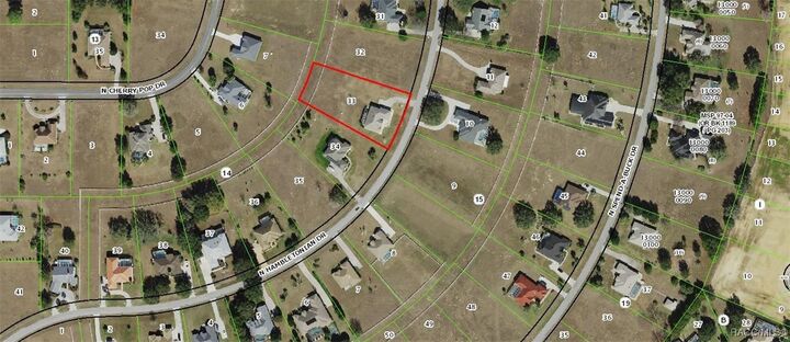 Property Photo:  236 N Hambletonian Street  FL 34453 