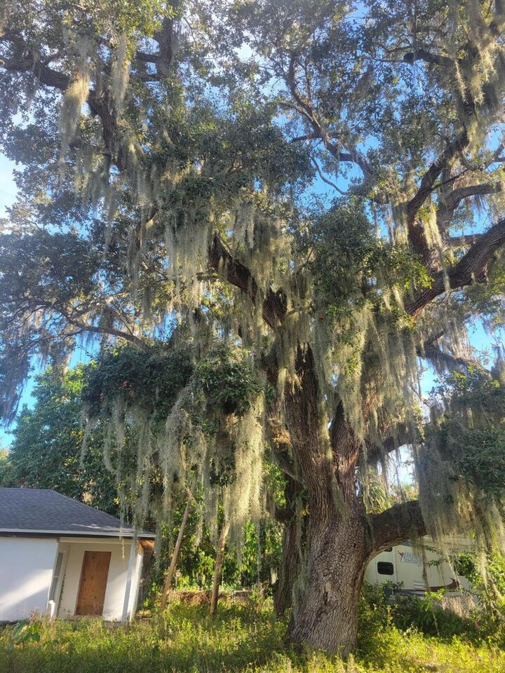 Property Photo: 1817 Palm Boulevard FL 32901