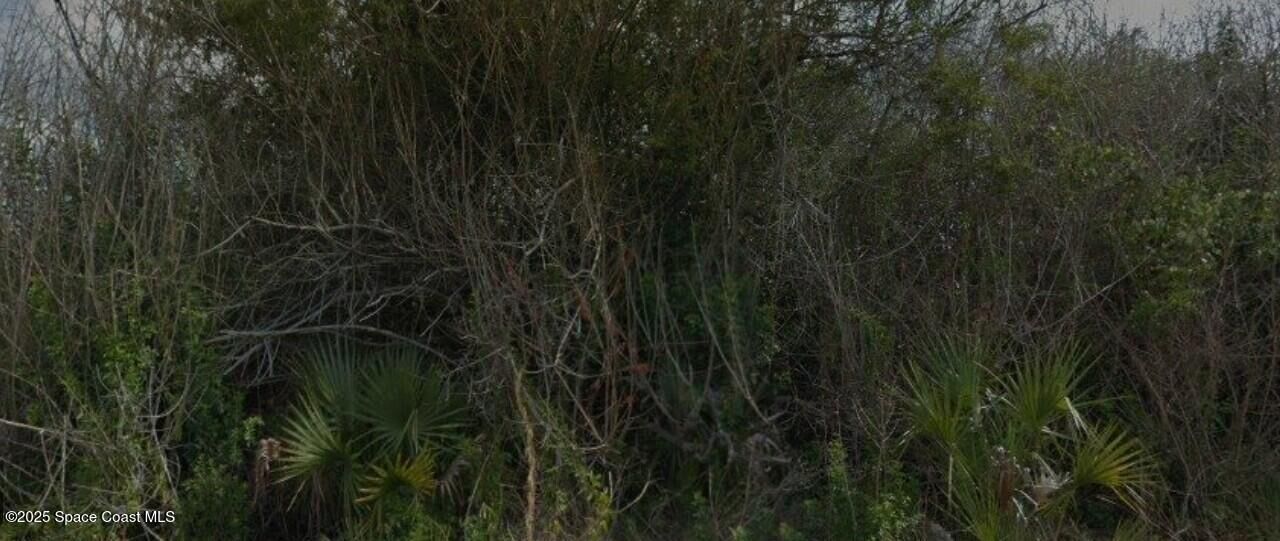 Property Photo: 765 Pinta Terrace SW FL 32908