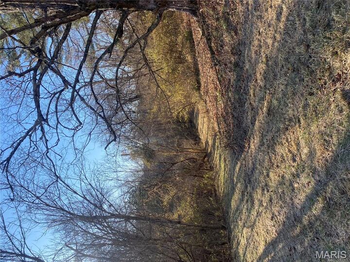 Property Photo: 18715 Bartold Lane MO 63069