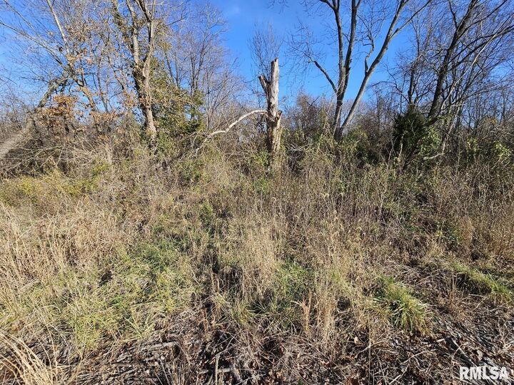 Property Photo:  0000 N Il 37 Highway  IL 62816 