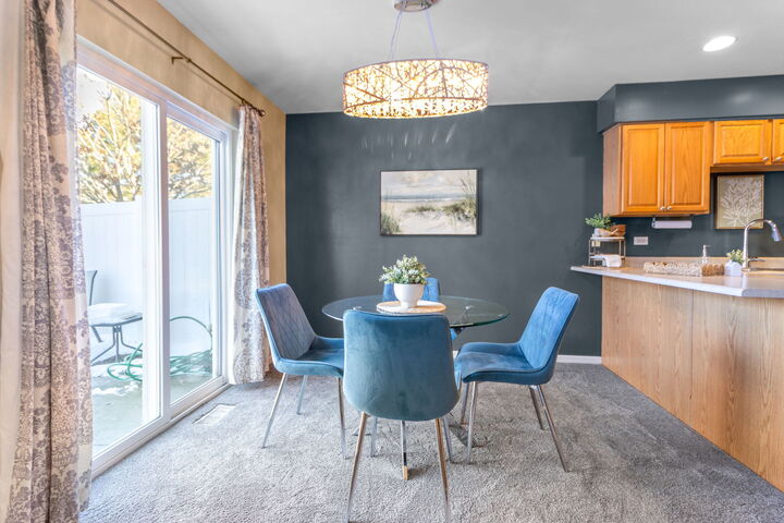 Property Photo:  533 Mallard Lane D  IL 60554 