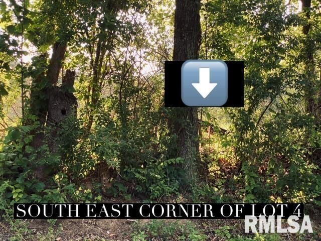 Property Photo: Lot 3 Falcon Road IL 62901