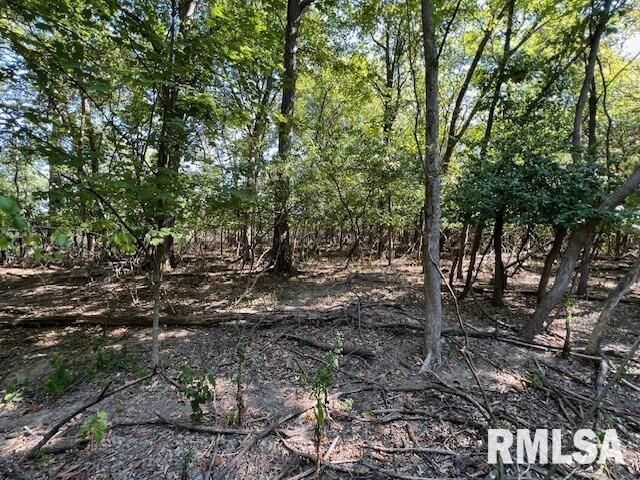 Property Photo: 000 Barnett Street IL 62918