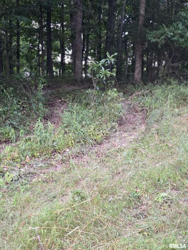 Property Photo:  16154 N Hickory Lane  IL 62898 