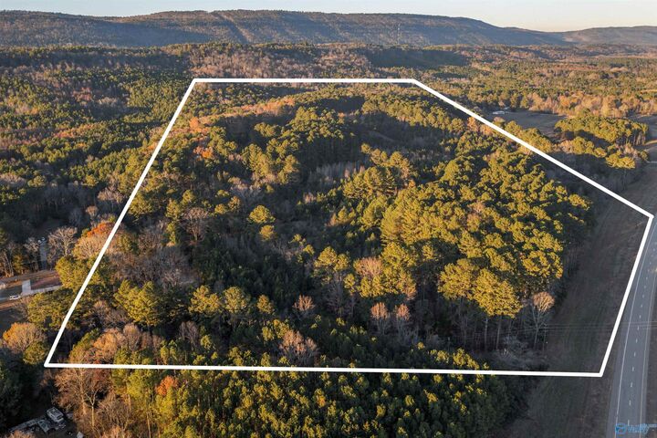 Property Photo:  76 Acres Broken Arrow Drive  AL 35901 
