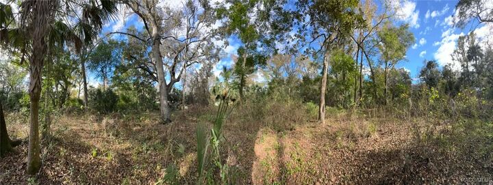 Property Photo: 9291 E Riverbluff Court FL 34453