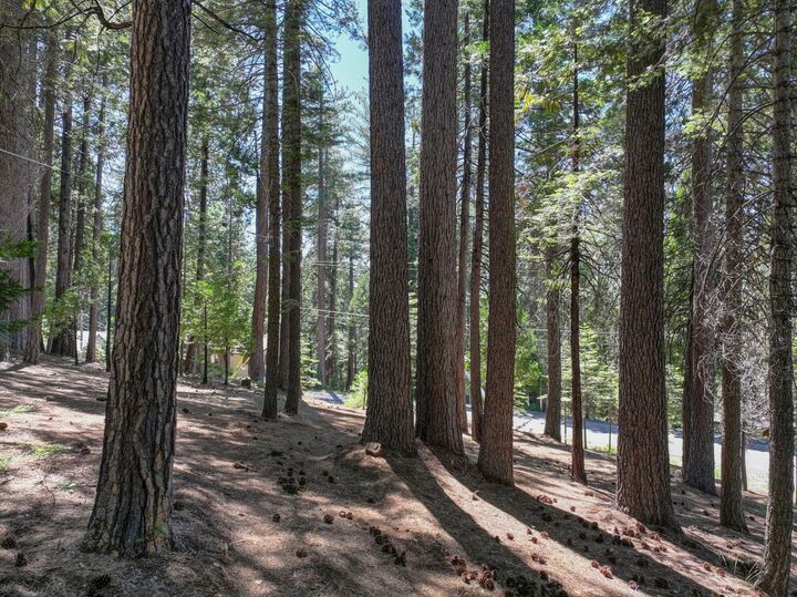 Property Photo:  1934 Almaden Drive  CA 95223 