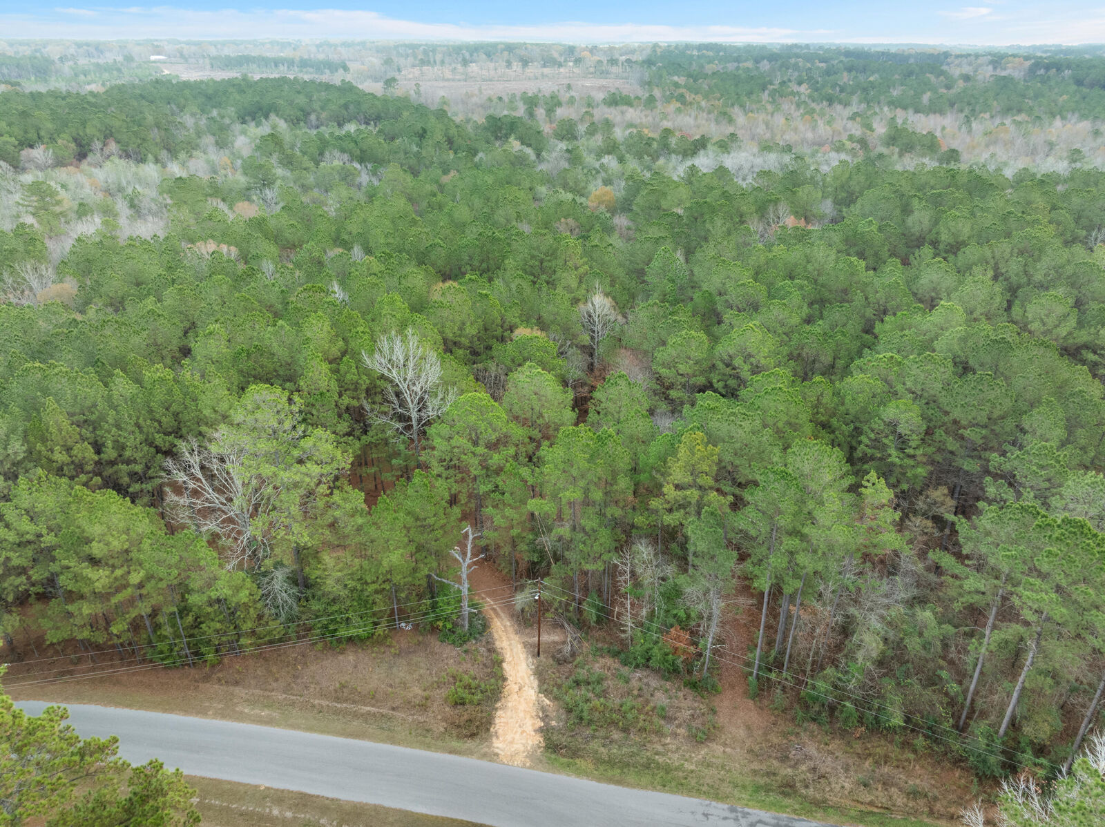 Property Photo: 83.50 Acre Guthrie Carter Rd. MS 39459