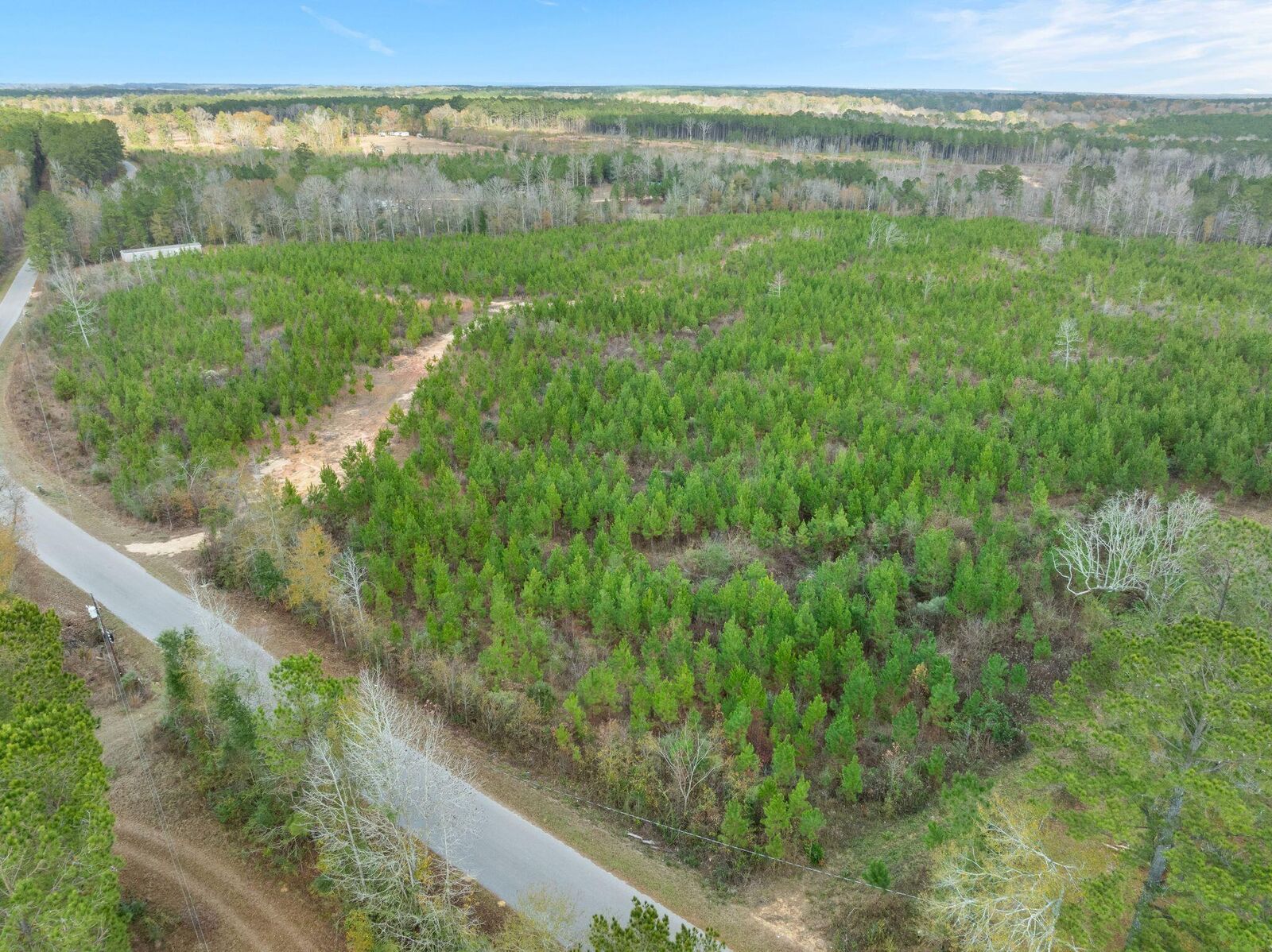 Property Photo:  83.50 Acre Guthrie Carter Rd.  MS 39459 