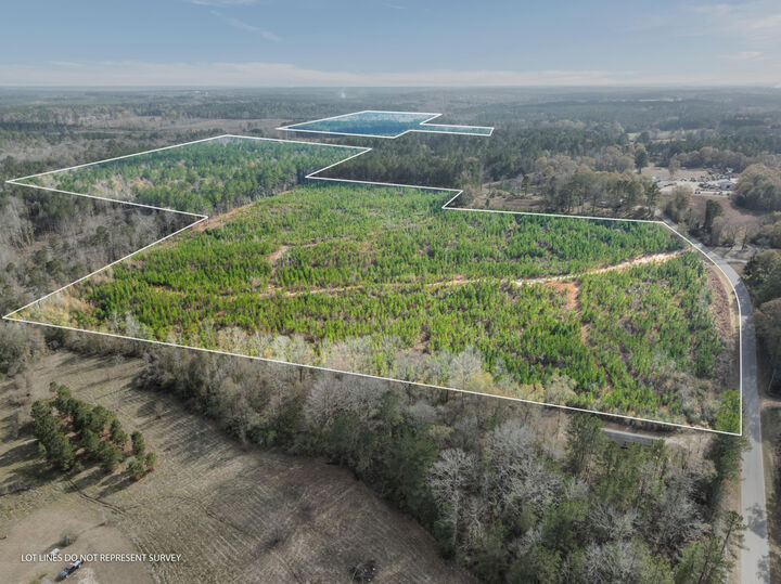 Property Photo: 84.5 Acre Guthrie Carter Rd. MS 39459