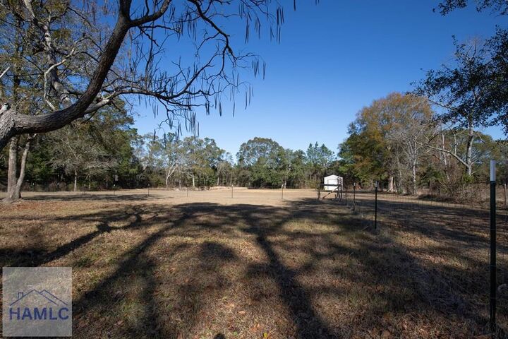 Property Photo:  1023 Odessa Road  GA 31546 