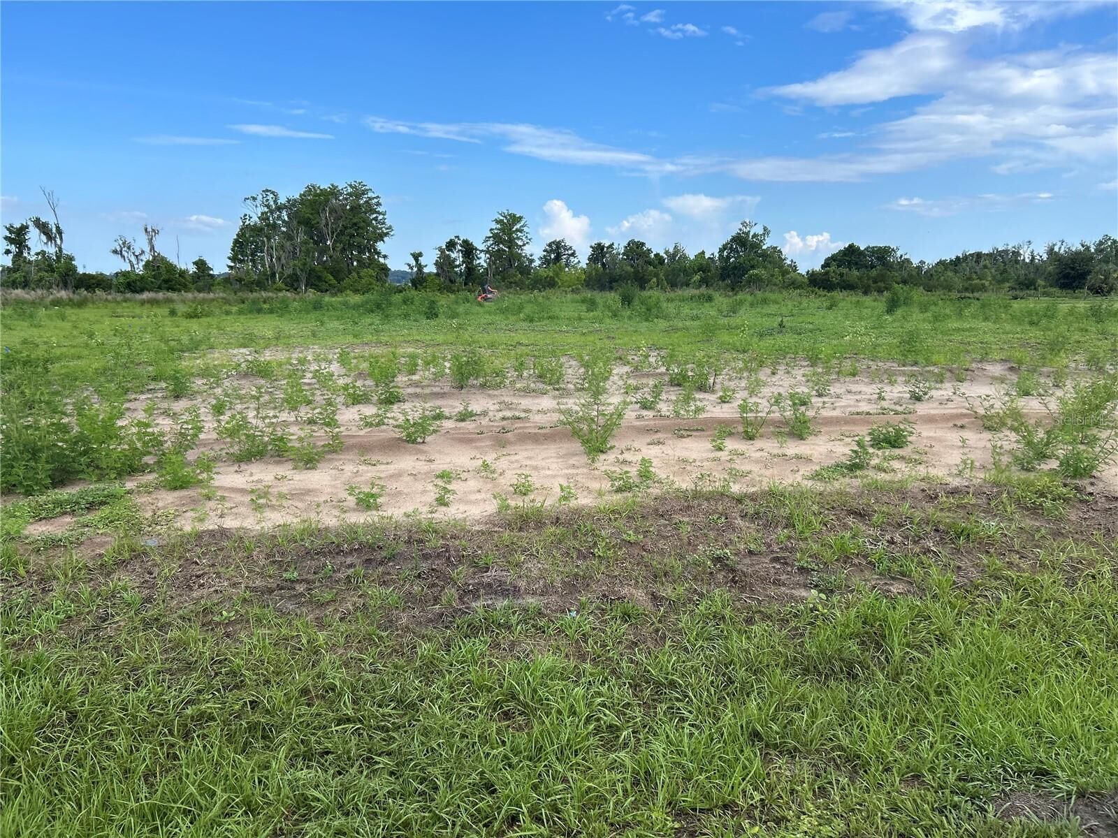 Property Photo:  12942 Stillwater Cove Drive  FL 34705 