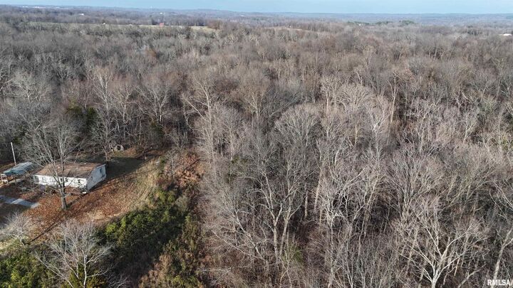 Property Photo: 535 Cass Lane IL 62920