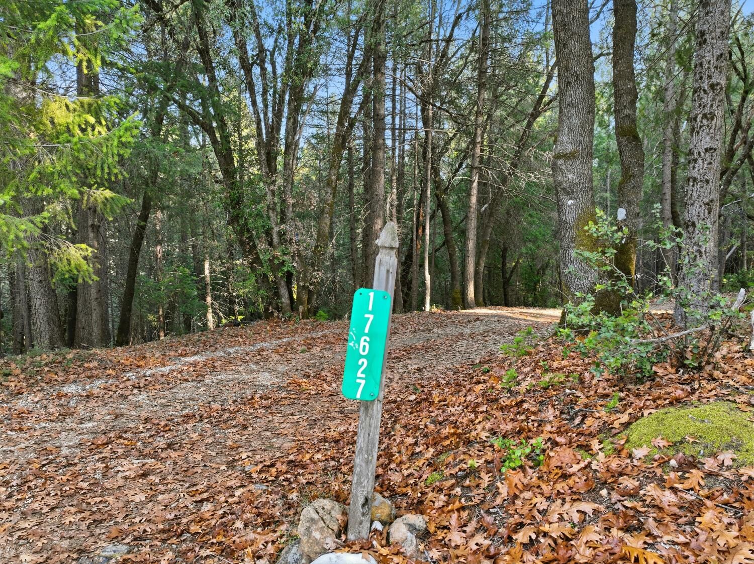 Property Photo:  17631 Greenhorn Road  CA 95945 