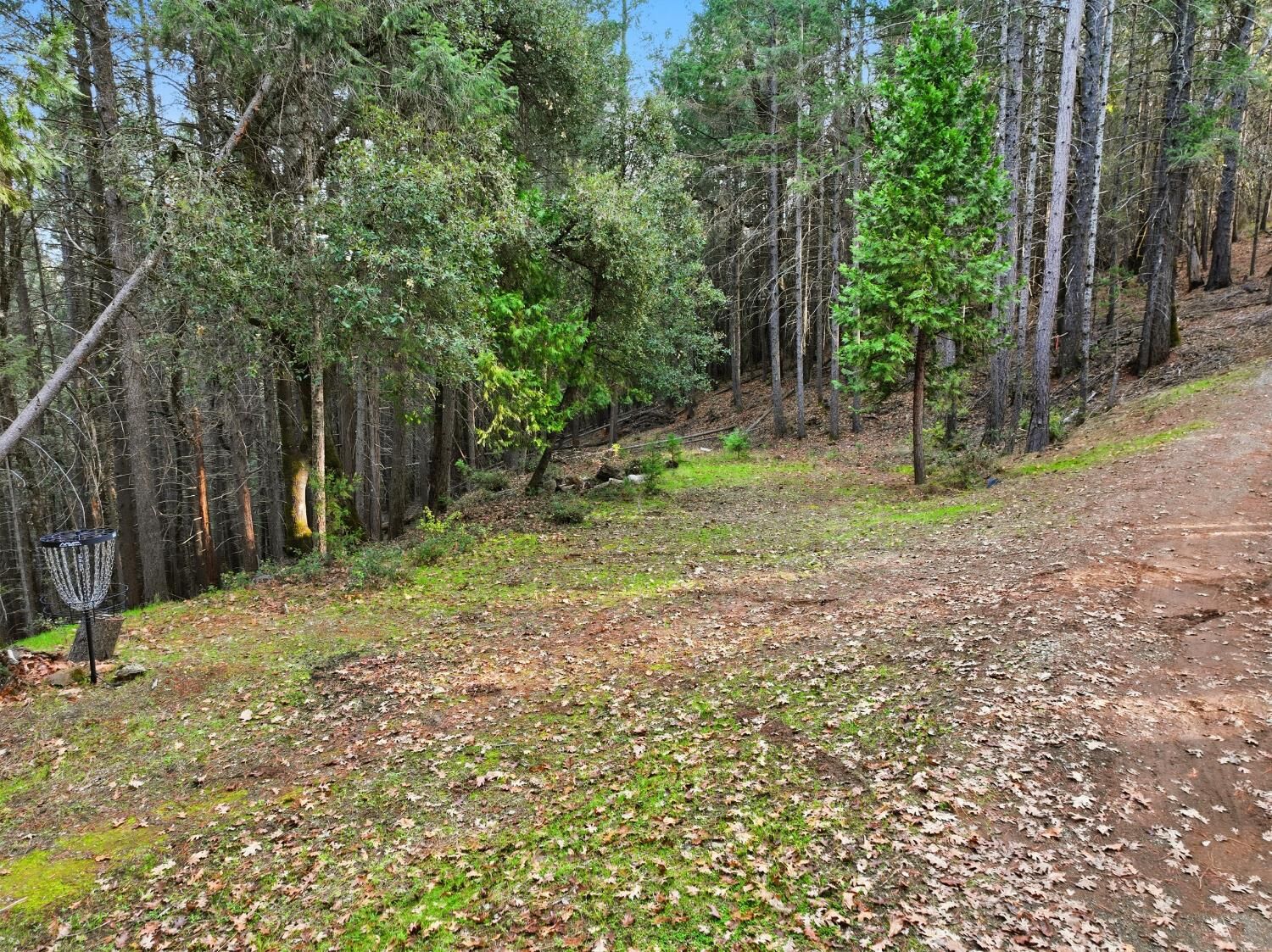 Property Photo: 17631 Greenhorn Road CA 95945