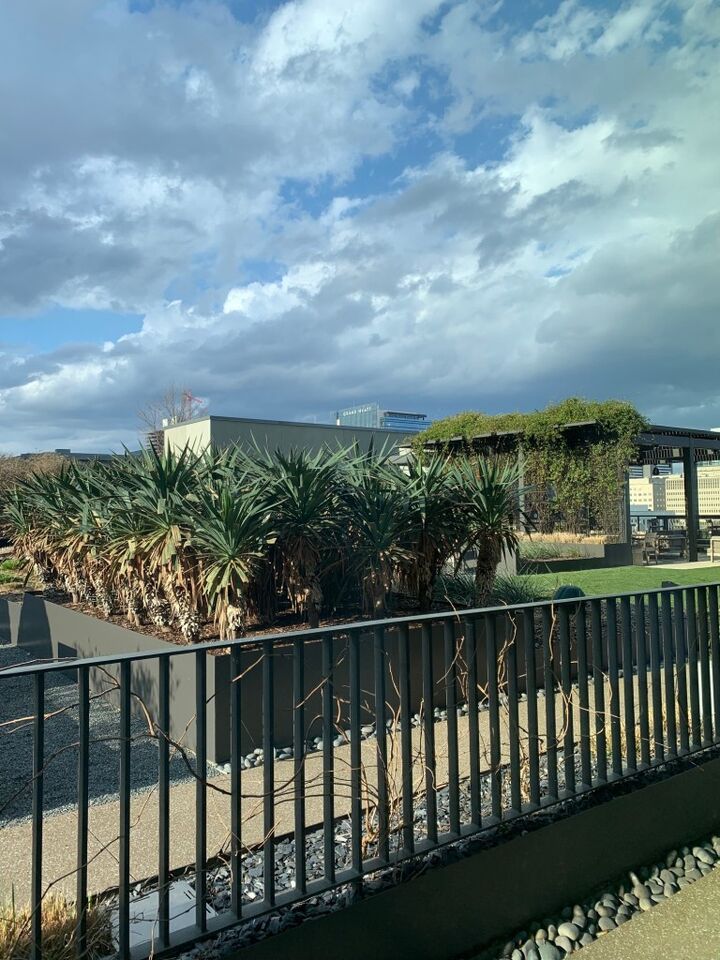 Property Photo:  1212 Laurel St 502  TN 37203 