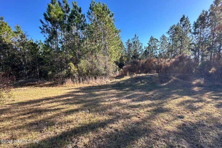 Property Photo:  8311 County Road 217  FL 32234 