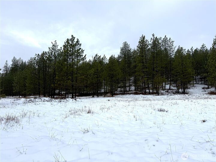 Property Photo:  122  Art Creek Road  WA 99150 