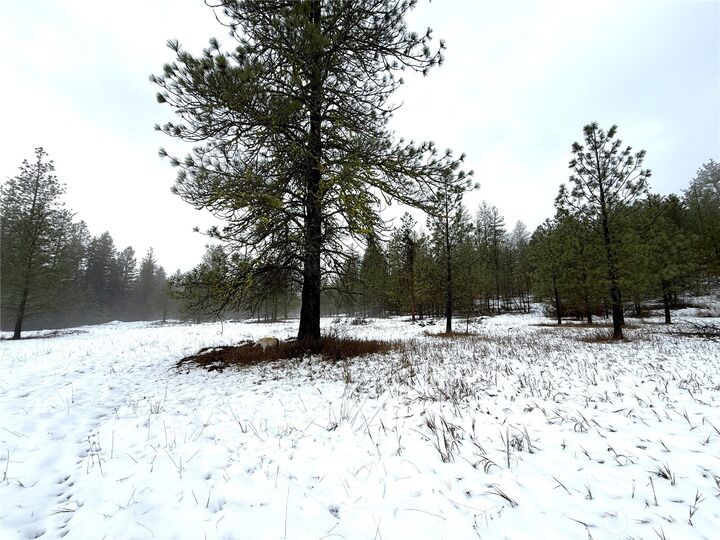 Property Photo:  122  Art Creek Road  WA 99150 