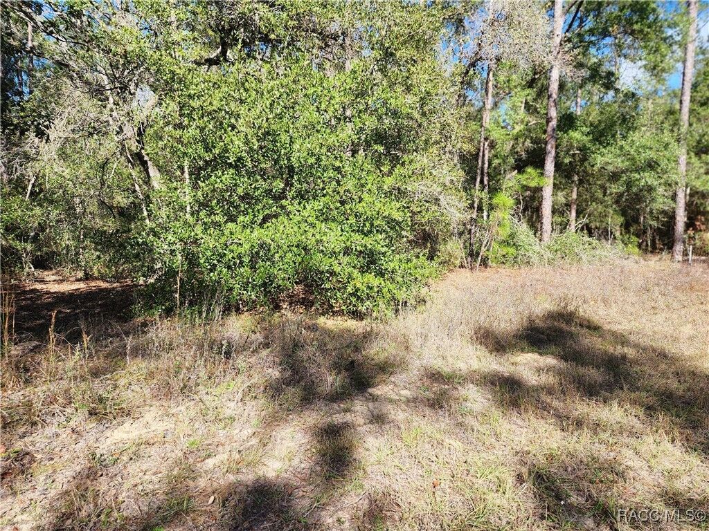 Property Photo: 8760 N Malibu Road FL 34434