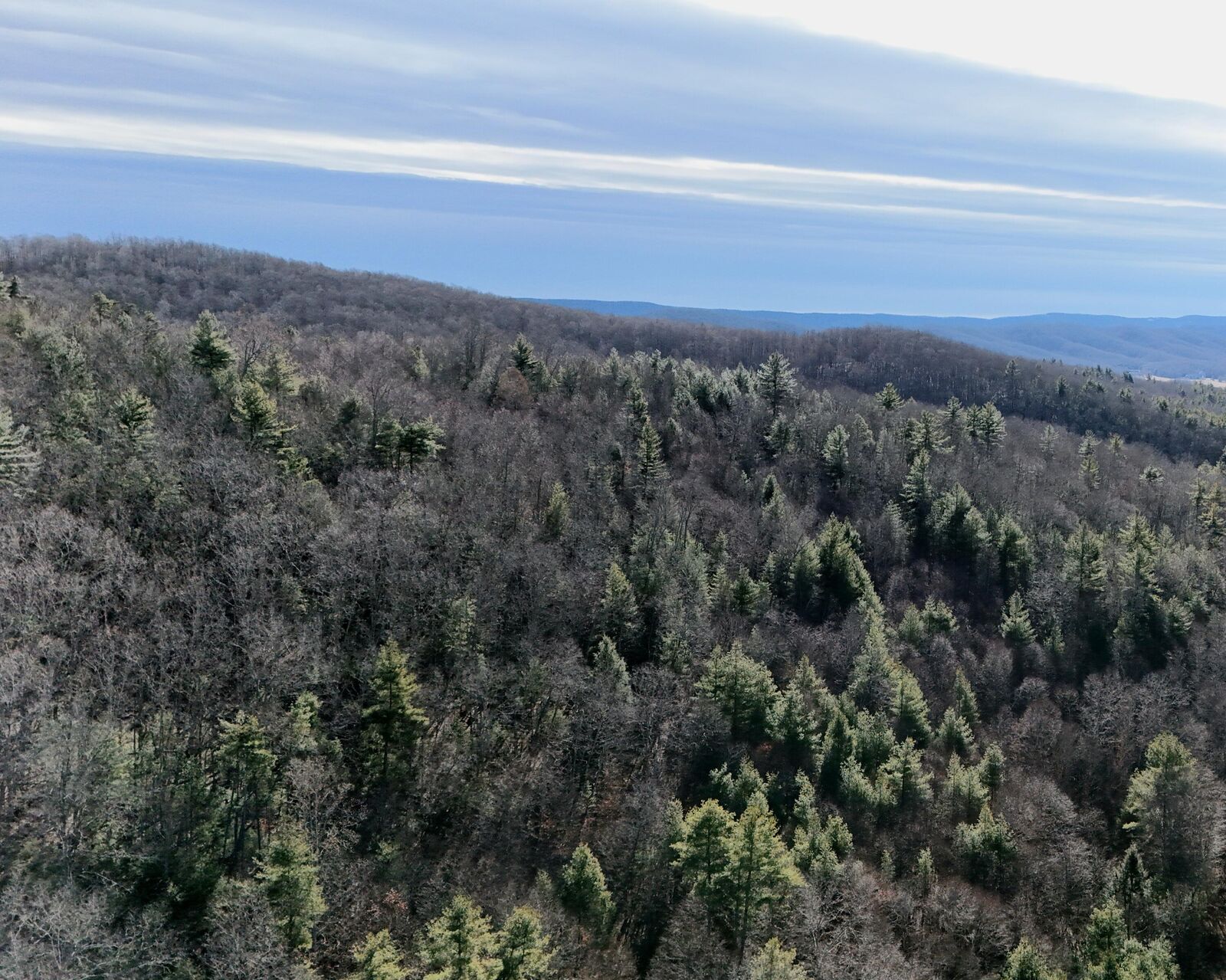 Property Photo:  6290 Hollywood Glace Rd.  WV 24941 