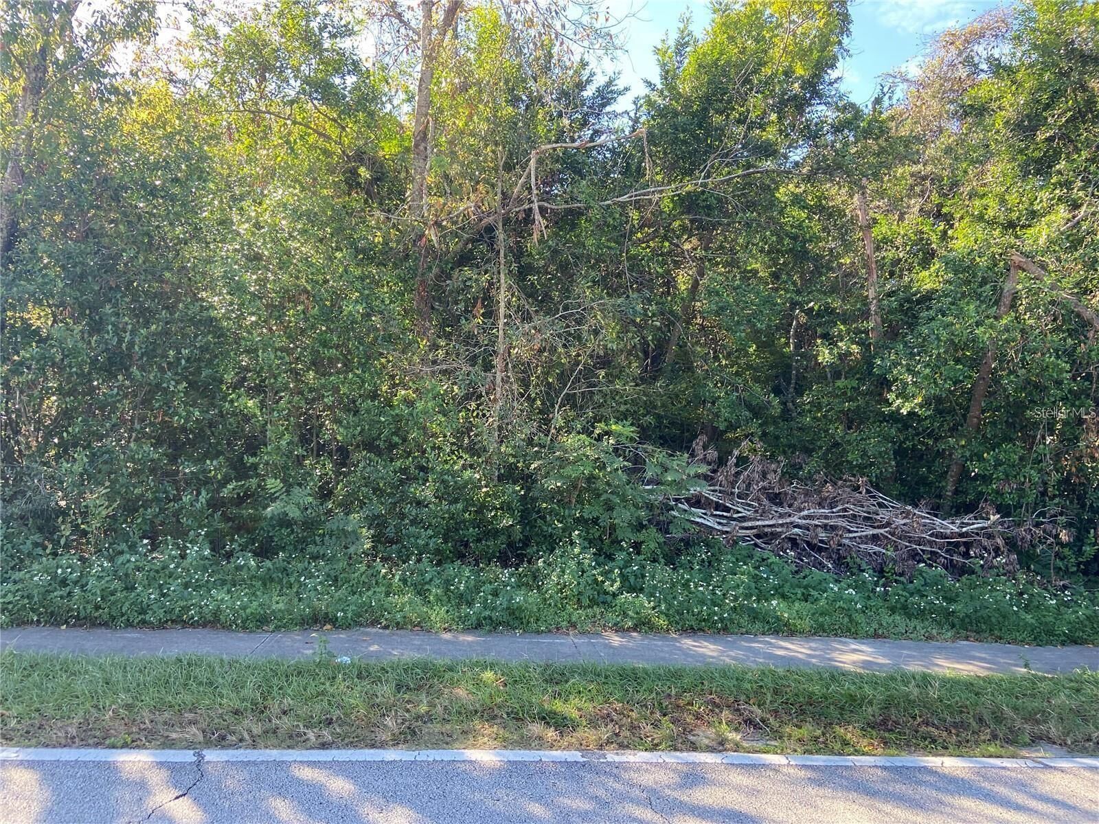 Property Photo:  1296 S Seagate Drive  FL 32725 