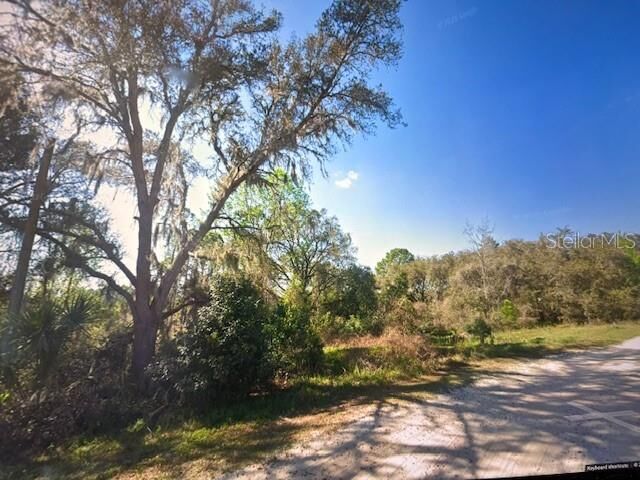 Property Photo:  Toms Pond Road  FL 32726 