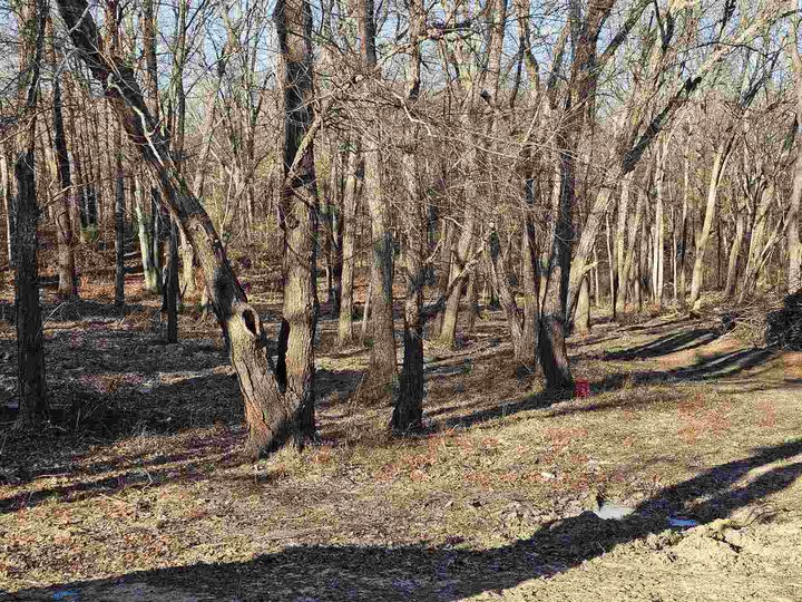 Property Photo:  19549 N Moonbeam Lane  IL 62864 