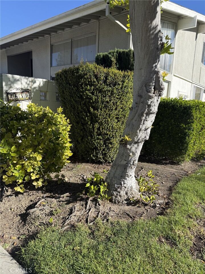 Property Photo:  263 Calle Aragon D  CA 92637 