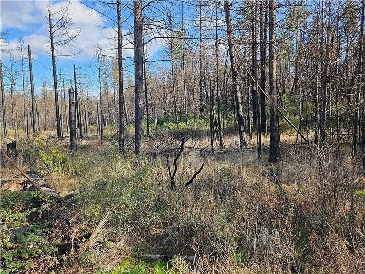 Property Photo:  0 Feather Ridge Way  CA 95916 