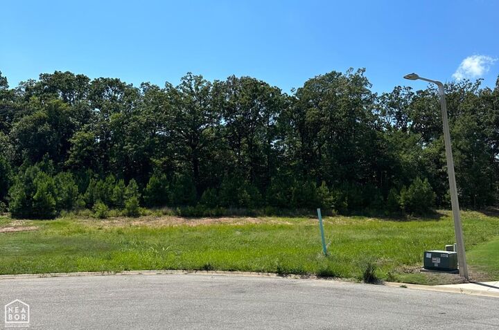 Property Photo: 3911 Wigeon Cove AR 72404