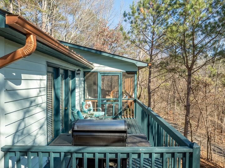 Property Photo: 48 Palisade Drive GA 30540