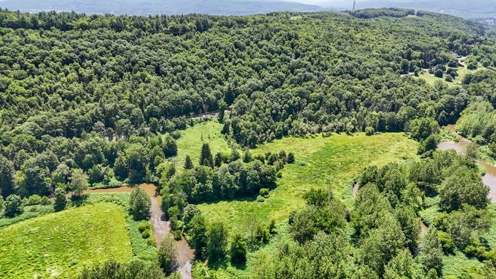 Property Photo: 1517 Nanticoke Dr. Drive NY 13760