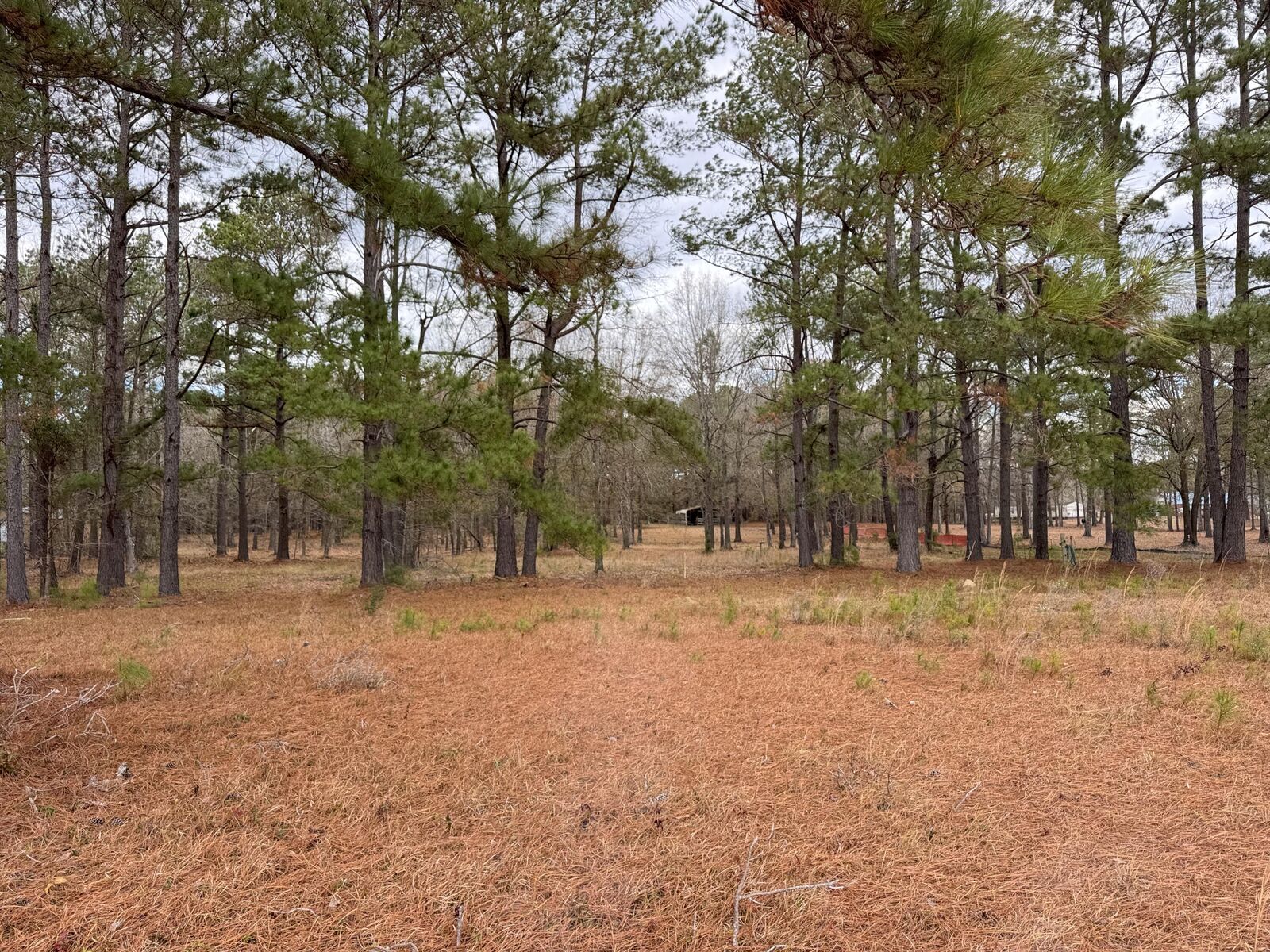 Property Photo:  00 Lake Marion Shores Road  SC 29148 
