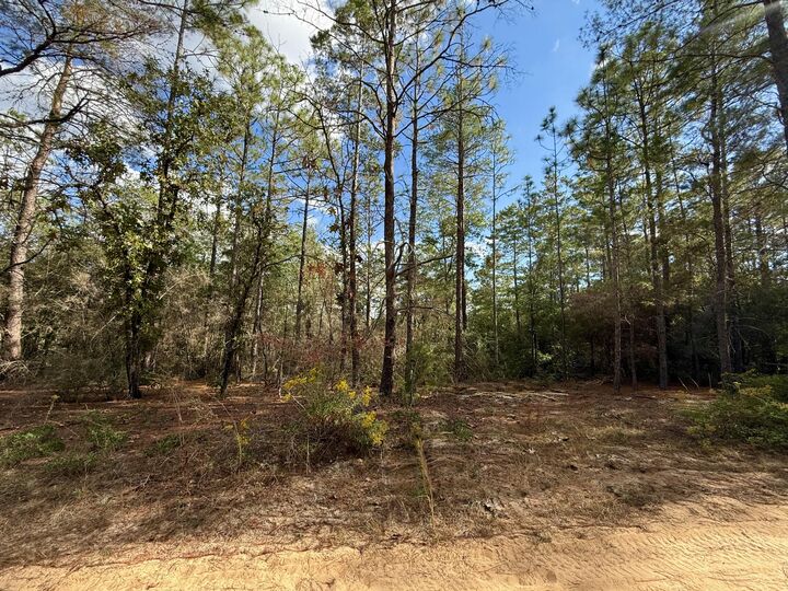 Property Photo:  Lot 29 Cleawater Drive  FL 32433 