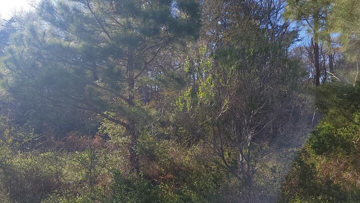 Property Photo: Lot 7 Liberty Dr VA 23407