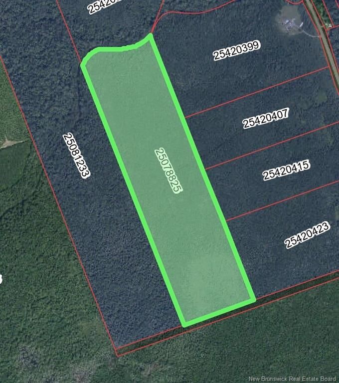 Property Photo:  Lot Emerson (Back) Road  NB E4T 2M5 