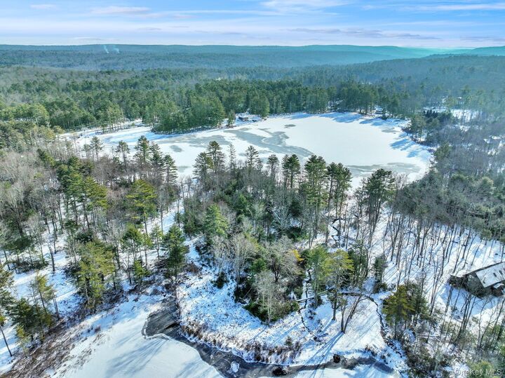 Property Photo:  Lot  11.1 State Route 55 And Mail Road  NY 12719 