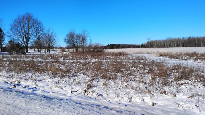 Property Photo:  Lt3 Carstens Lake Rd  WI 54220 