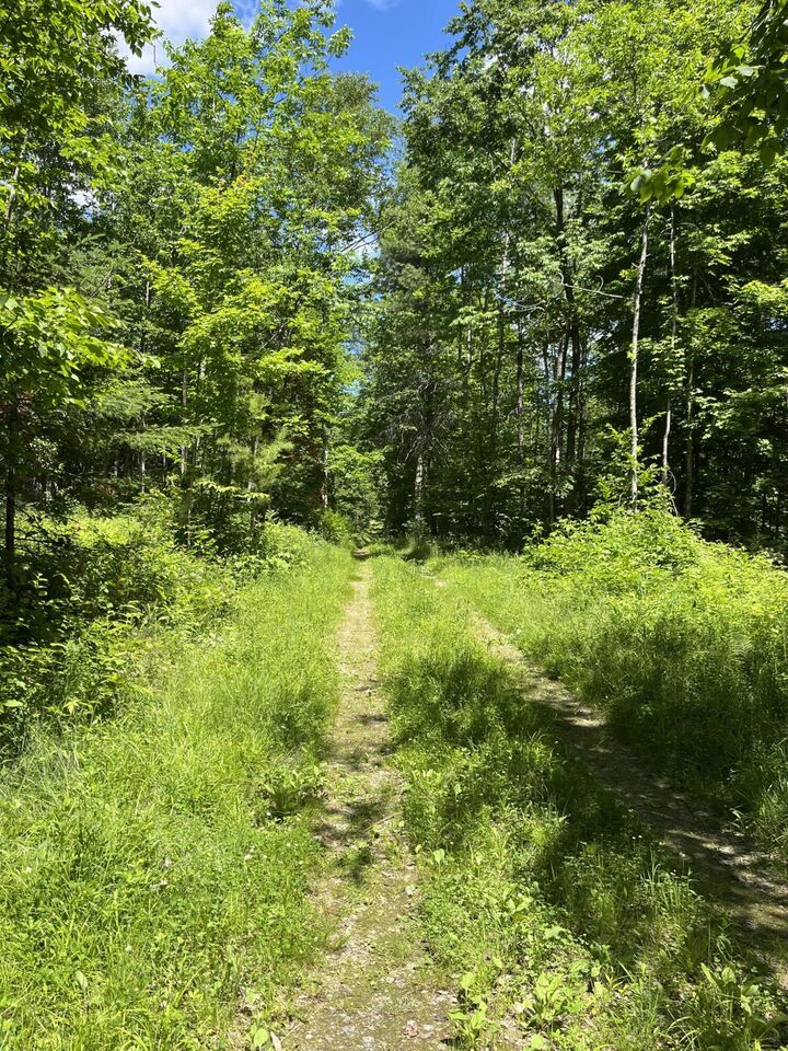 Property Photo: M4l3,5 Fickett Road ME 04434