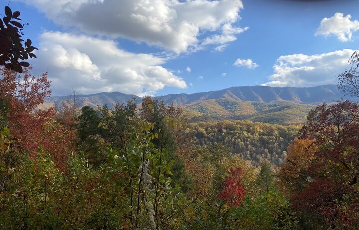 Property Photo:  549 Geneva Ln  TN 37738 